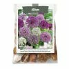 Bulbs Are Easy, Allium Bulbs, Assorted Varieties, Ready To Plant For Your Home Garden