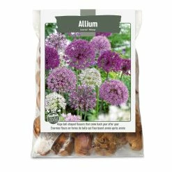 Bulbs Are Easy, Allium Bulbs, Assorted Varieties, Ready To Plant For Your Home Garden