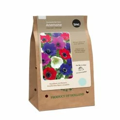 Bulbs Are Easy Anemone De Caen