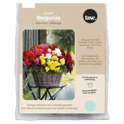 Bulbs Are Easy, Double Begonia Bulbs, Assorted Varieties, Home Garden
