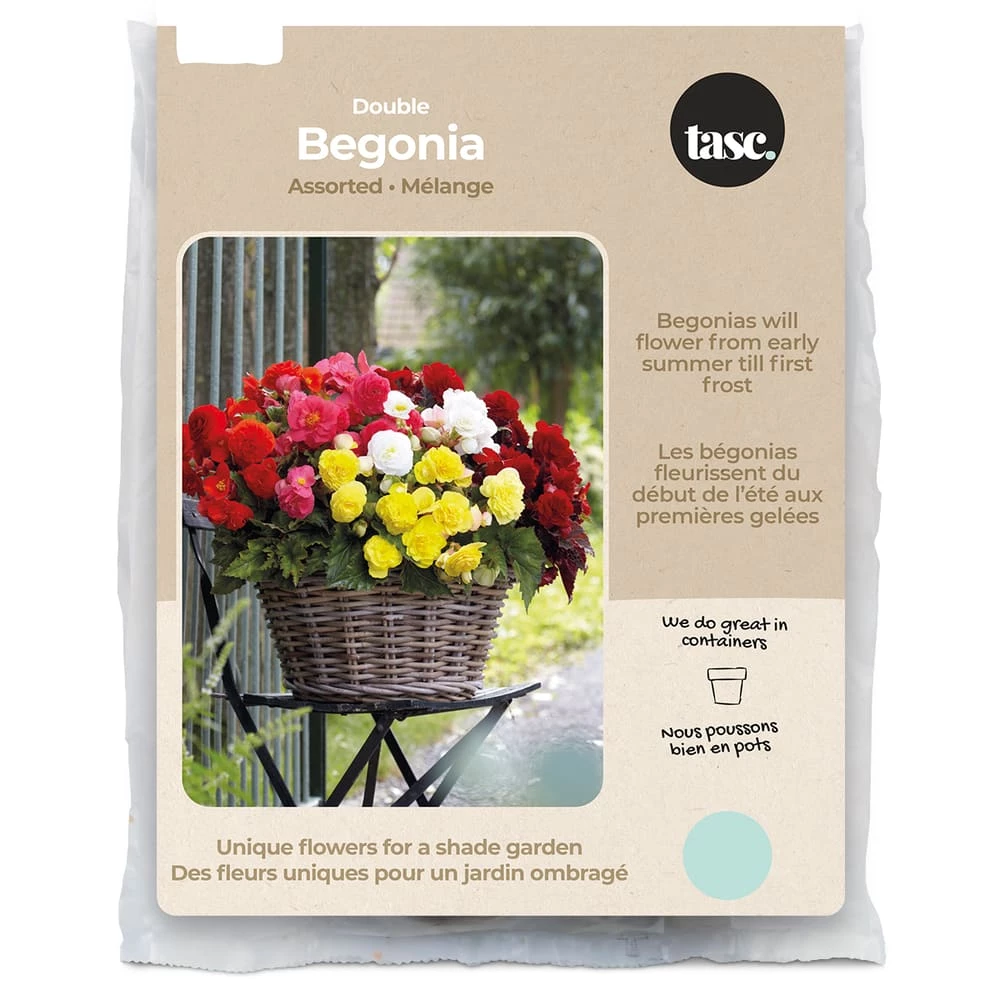 Bulbs Are Easy, Double Begonia Bulbs, Assorted Varieties, Home Garden