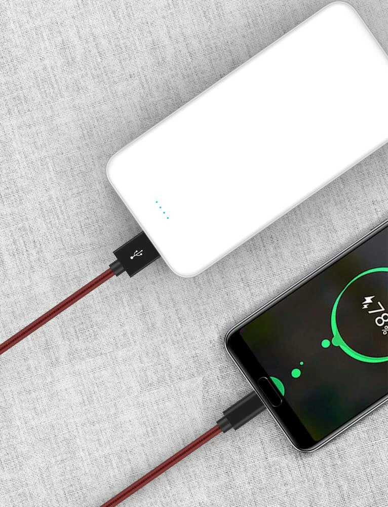 Bluehive Type-C Charger & Sync Cable, Fishnet, Red, 6-ft - Image 6