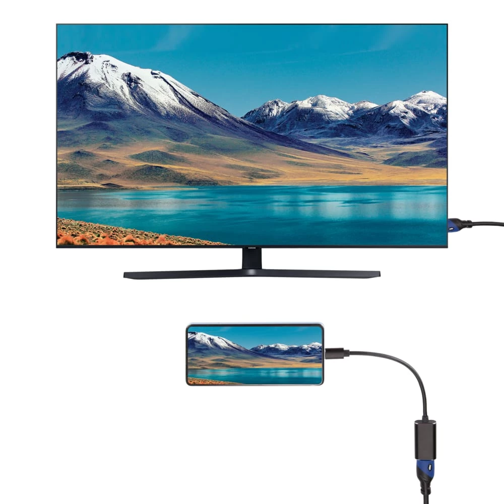 Bluehive USB Type-C To HDMI Adapter For Select Apple & Android Devices - Image 3