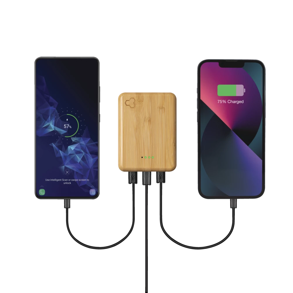 Bluehive 10K MAh Wood Power Bank - Image 4