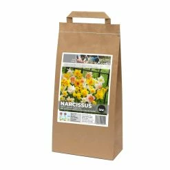 Bulbs Are Easy Narcissus Long Lasting, Assorted