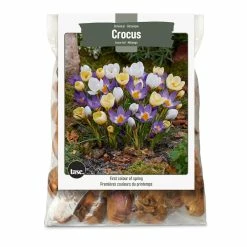 Bulbs Are Easy Crocus Bulbs, Assorted