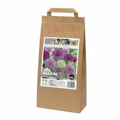 Bulbs Are Easy Allium Flower Bulbs, Assorted