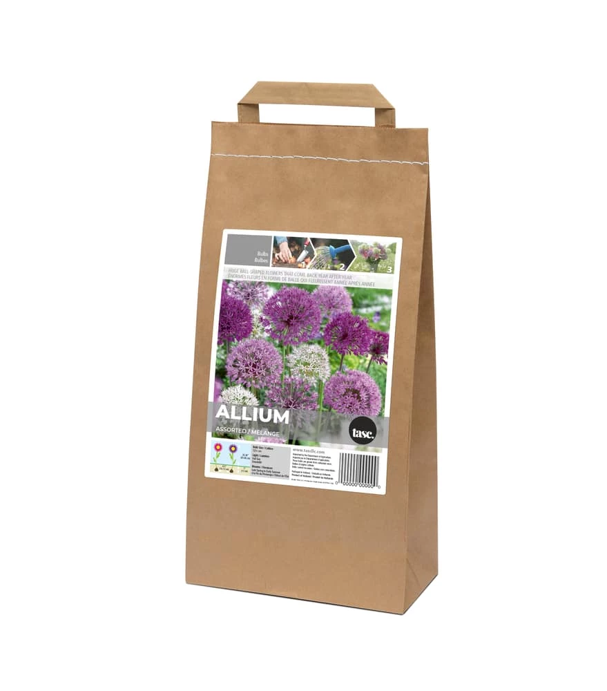 Bulbs Are Easy Allium Flower Bulbs, Assorted