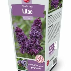 Bulbs Are Easy, Syringas