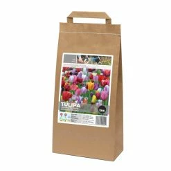 Bulbs Are Easy Bulbs Tulip, Assorted
