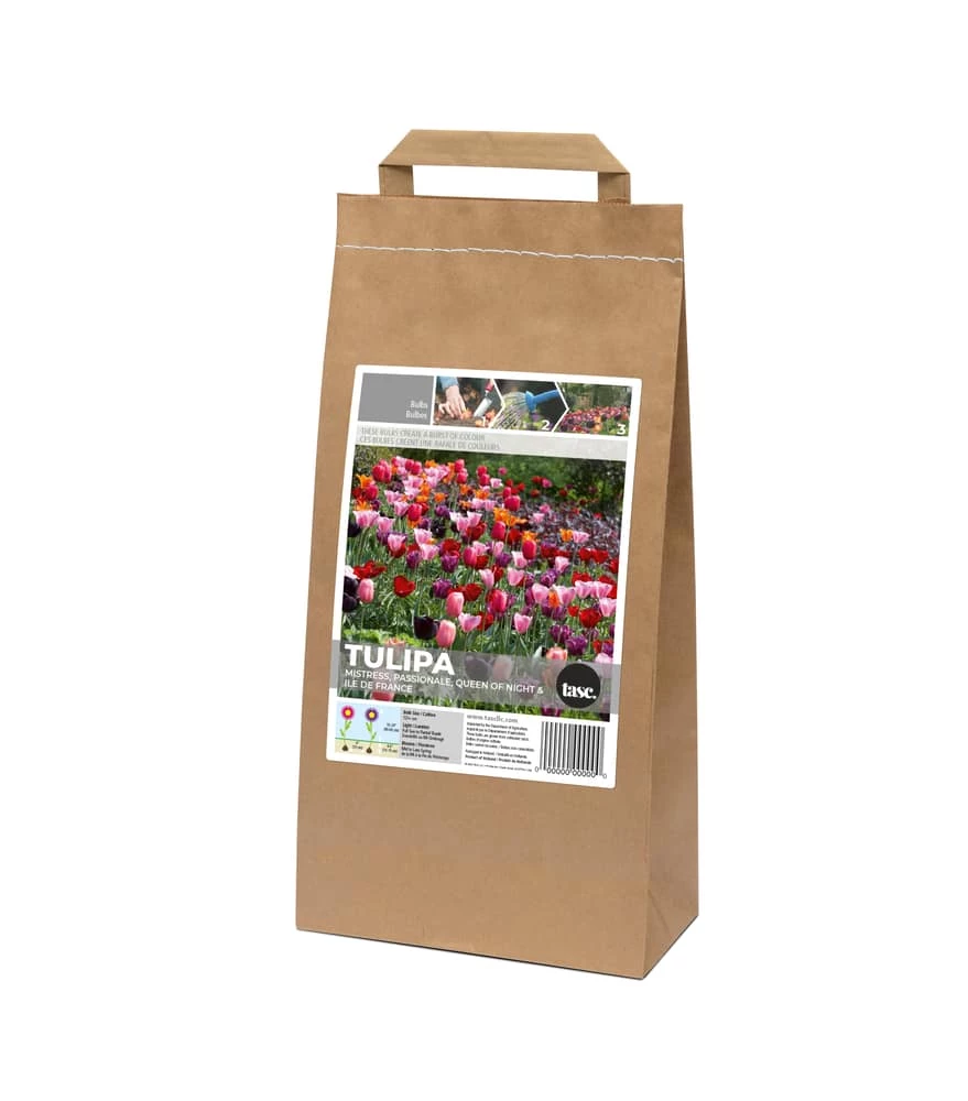 Bulbs Are Easy Bright Tulip Bulbs, Assorted