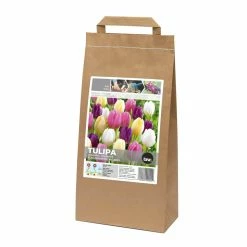 Bulbs Are Easy Pastel Tulip Bulbs, Assorted