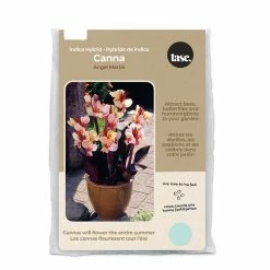 Bulbs Are Easy, Indica Hybrid Angel Martin Canna Bulbs, Assorted Varieties, 3 Bulbs