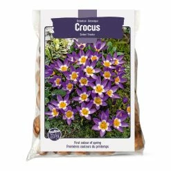 Bulbs Are Easy, Sieberi Tricolour Crocus Bulbs, Assorted Varieties, Home Garden