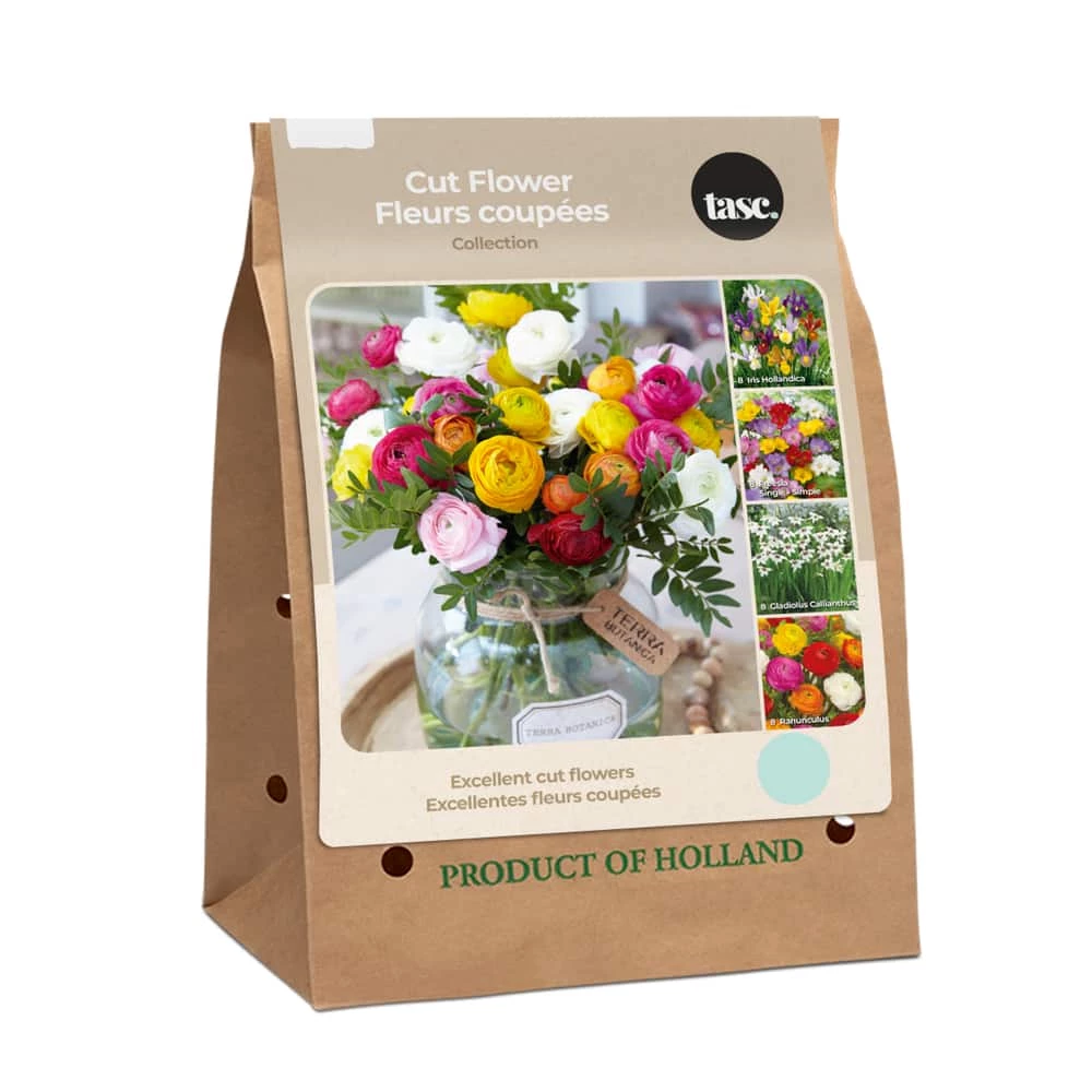 Bulbs Are Easy TASC Cut Flower Collection