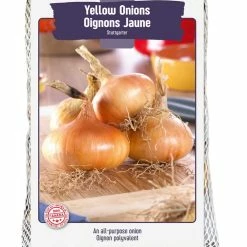 Bulbs Are Easy, Stuttgarter Yellow Onion Bulbs, Ready To Plant For Your Home Garden