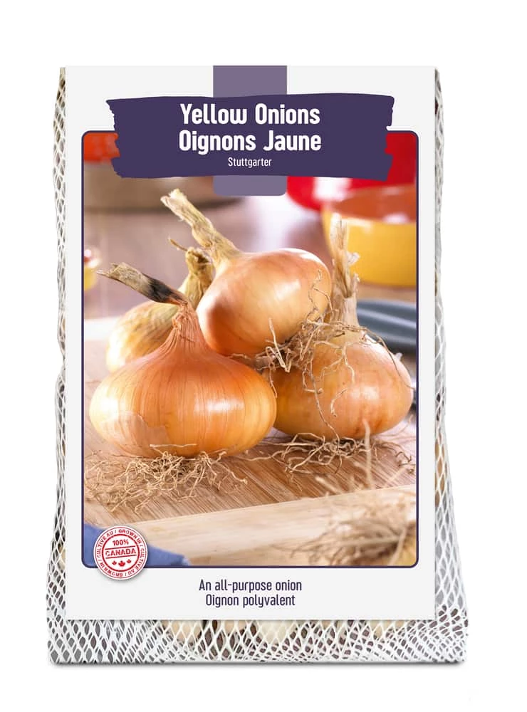 Bulbs Are Easy, Stuttgarter Yellow Onion Bulbs, Ready To Plant For Your Home Garden