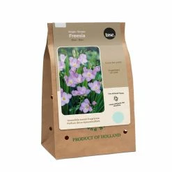 Bulbs Are Easy Single Blue Freesia Spring Bulb