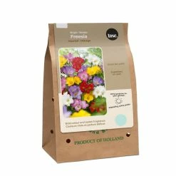 Bulbs Are Easy, Freesia Single Bulb, Ready To Plant For Your Home Garden