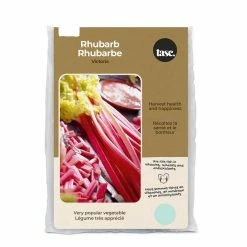 Bulbs Are Easy, Victoria Rhubarb Fruit Bulbs, Ready To Plant For Your Home Garden