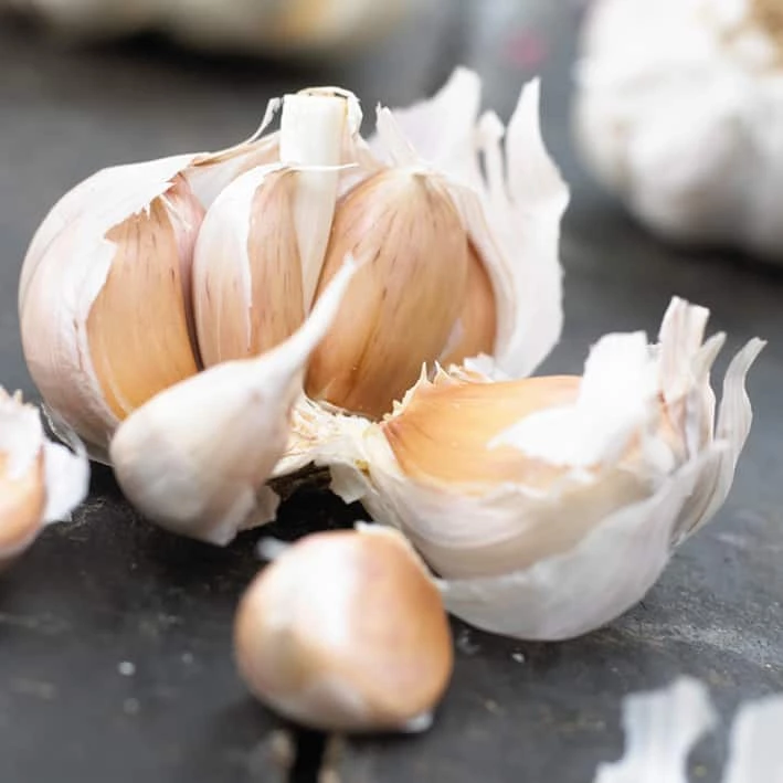 Bulbs Are Easy, Allium Sativum Garlic Bulbs, Ready To Plant For Your Home Garden - Image 2