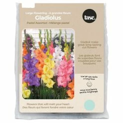 Bulbs Are Easy, Large Flowering Pastel Gladiolus Bulbs Assorted Varieties, Home Garden