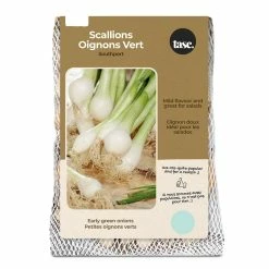 Bulbs Are Easy, Southport Scallion Bulbs, Ready To Plant For Your Home Garden