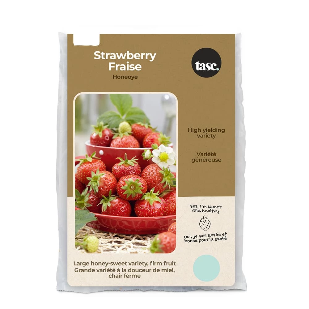 Bulbs Are Easy, Honeoye Strawberry Bulbs, Ready To Plant For Your Home Garden