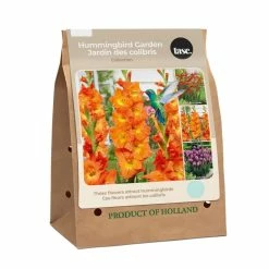 Bulbs Are Easy, Hummingbird Bulb Collection, Attracts Butterflies Too, Home Garden