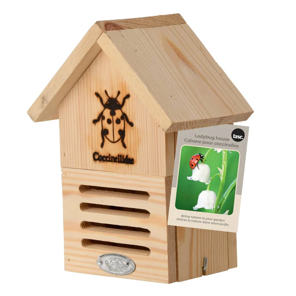 Bulbs Are Easy Ladybug House