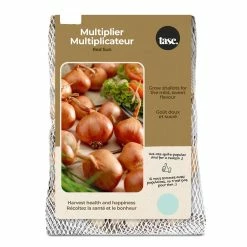 Bulbs Are Easy, Lorient Multiplier Shallot Bulbs, Ready To Plant For Your Home Garden