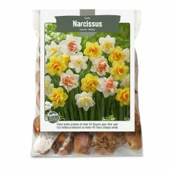 Bulbs Are Easy, Double Narcissi Bulbs, Assorted Varieties, Home Garden