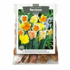 Bulbs Are Easy, Split Corona Narcissi Bulbs, Assorted Varieties, Home Garden