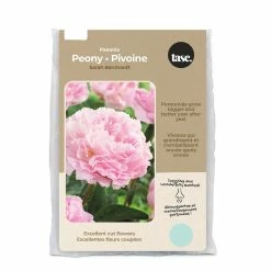 Bulbs Are Easy Paeonia Sarah Berhardt 2-Bulbs For Planting