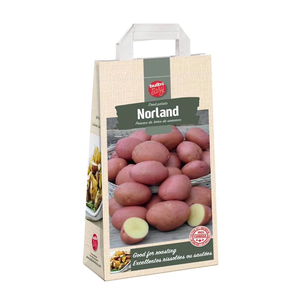 Bulbs Are Easy, Norland Seed Potato, Ready To Plant For Your Home Garden