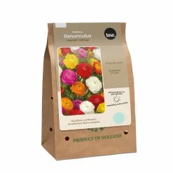 Bulbs Are Easy, Ranunculus Spring Bulbs, Assorted Varieties, Home Garden