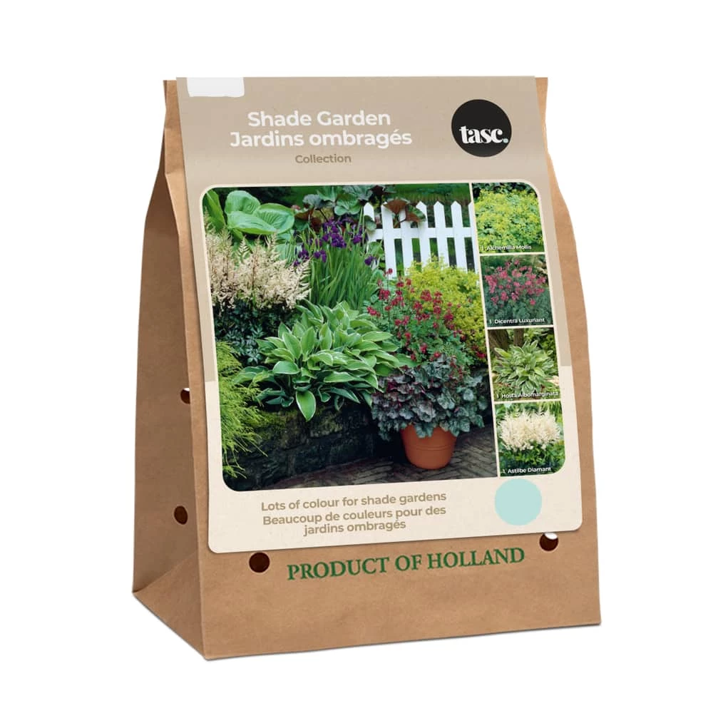 Bulbs Are Easy TASC Shade Garden Collection
