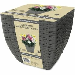 Bulbs Are Easy, Pre-Planted Stargazer Flower Bulb Kits, Just Add Water, 5 Bulbs