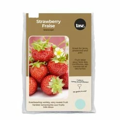 Bulbs Are Easy, Ananassa Seascape Strawberry Bulbs, Home Garden, 10 Bulbs