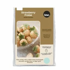 Bulbs Are Easy, Ananassa White Carolina Pineberry Strawberry Bulbs, Home Garden, 10 Bulbs