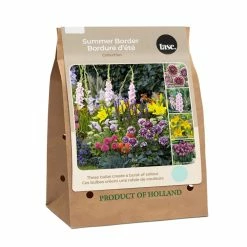 Bulbs Are Easy TASC Summer Border Collection