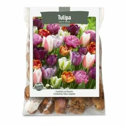 Bulbs Are Easy, Tulip Bulbs, Assorted Varieties, Home Garden