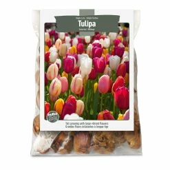 Bulbs Are Easy, Tulip Bulbs, Single Late, Assorted, For Your Home Garden