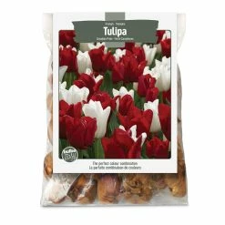 Bulbs Are Easy, Canadian Tulip Bulbs, Assorted Varieties, Home Garden