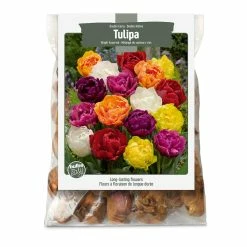 Bulbs Are Easy, Double Bright Tulip Bulbs, Assorted Varieties, Home Garden