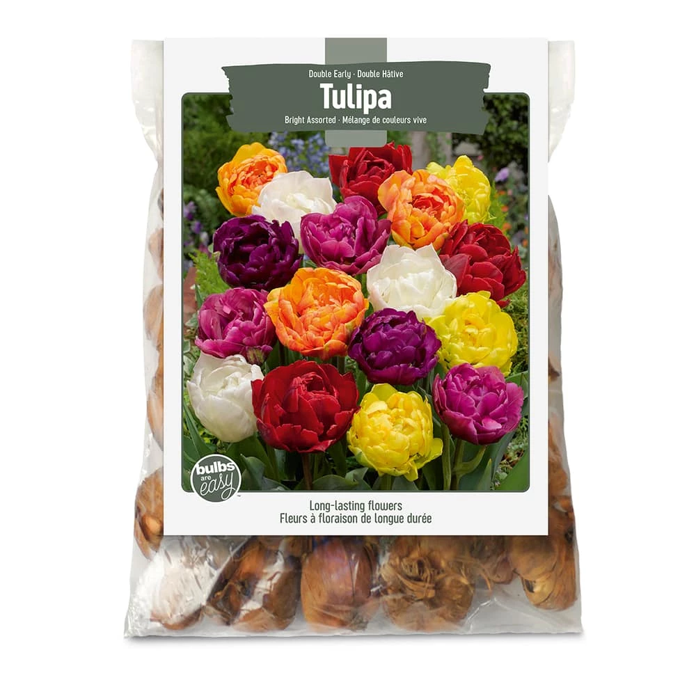 Bulbs Are Easy, Double Bright Tulip Bulbs, Assorted Varieties, Home Garden
