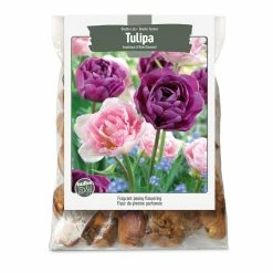 Bulbs Are Easy, Double Late Tulip Bulbs, Assorted Varieties, Home Garden