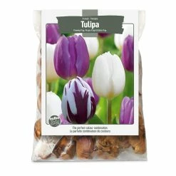 Bulbs Are Easy, Flaming Tulip Bulbs, Assorted Varieties, Home Garden