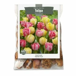 Bulbs Are Easy, Double Early Foxtrot Tulip Bulbs, Home Garden, Assorted