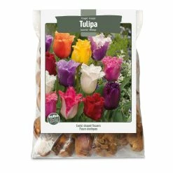 Bulbs Are Easy, Fringed Tulip Bulbs, Assorted Varieties, Home Garden